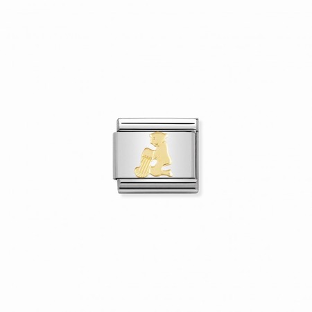 Nomination Zodiac Gold Aquarius Composable Charm